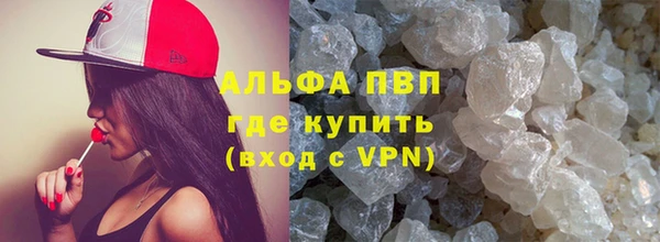 сатива Новозыбков