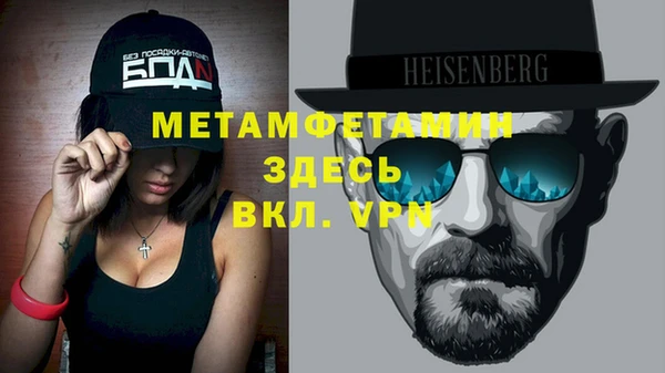 сатива Новозыбков