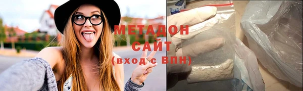 сатива Новозыбков