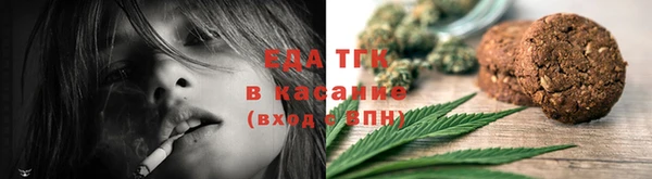 сатива Новозыбков