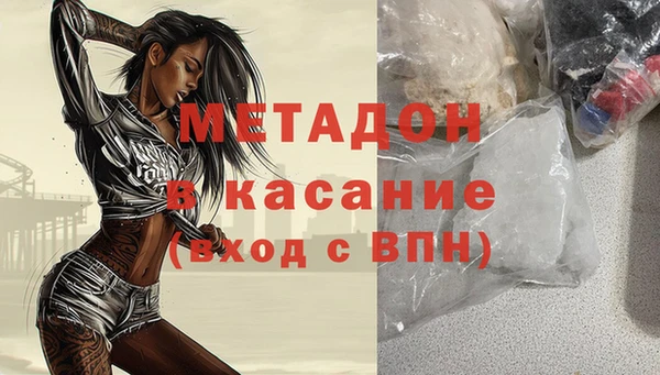 сатива Новозыбков