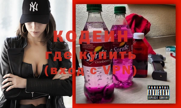 сатива Новозыбков