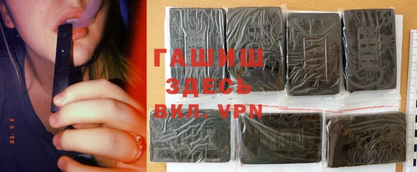 сатива Новозыбков