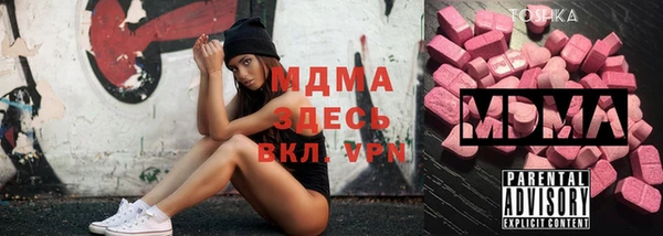 сатива Новозыбков