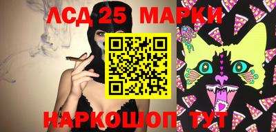 spice Бийск